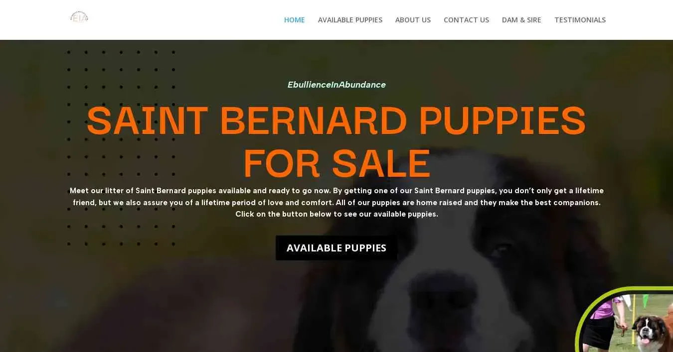 is ebullienceinabundance.com legit? screenshot