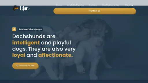 A screenshot of Edandachshundpuppy.com
