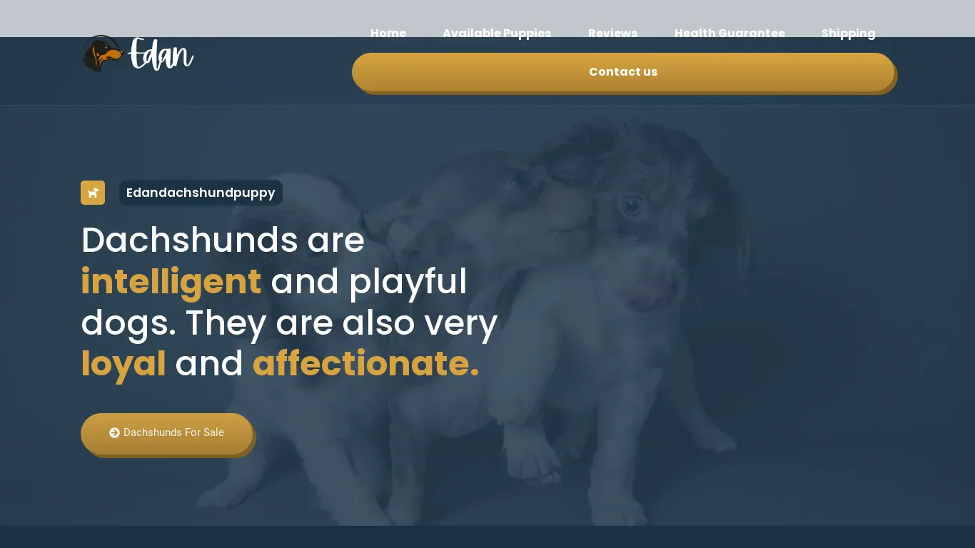 is Edandachshundpuppy – Healthy dachshund puppy for sale legit? screenshot