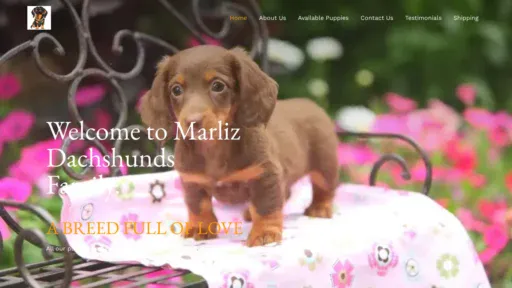 A screenshot of Ednohdachshunds.com