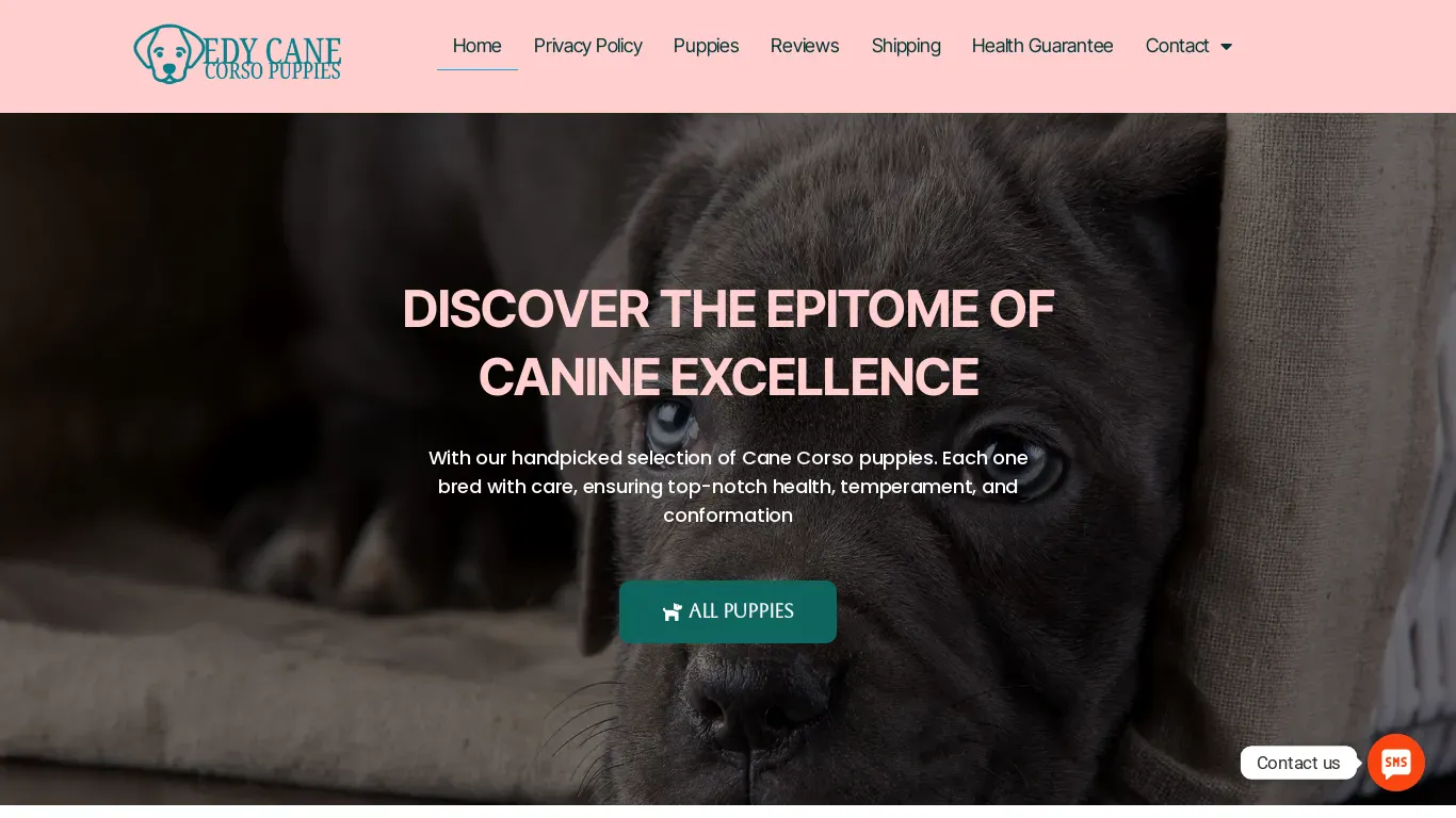 is edycanecorsopuppies.com legit? screenshot