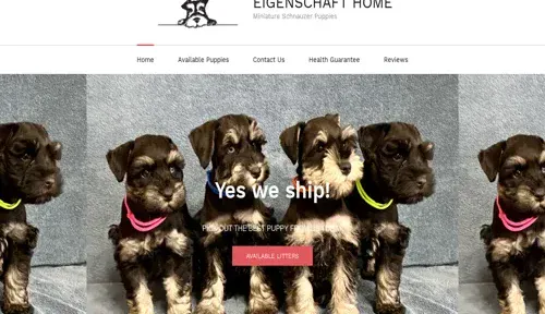 A screenshot of Genlanfamilystbernard.com