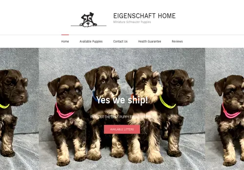 is eigeschnauzers.com legit? screenshot