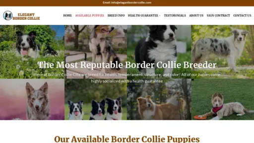 A screenshot of Elagantbordercollie.com