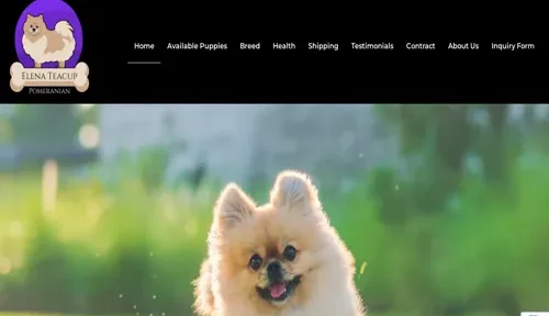 A screenshot of Genlanfamilystbernard.com