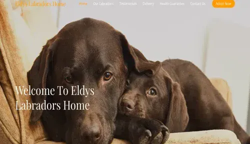 A screenshot of Genlanfamilystbernard.com