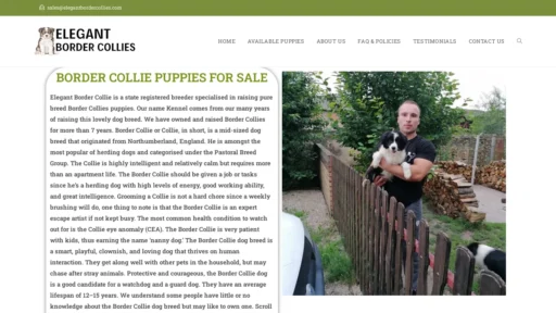 A screenshot of Elegantbordercollies.com