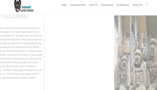 A screenshot of Genlanfamilystbernard.com