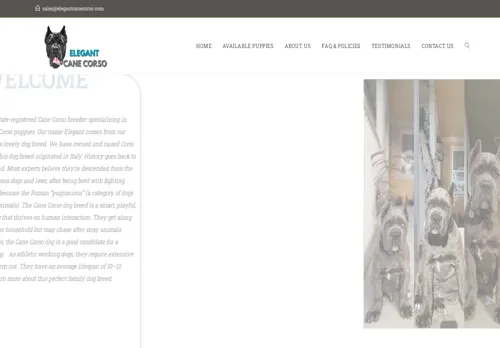 is elegantcanecorso.com legit? screenshot
