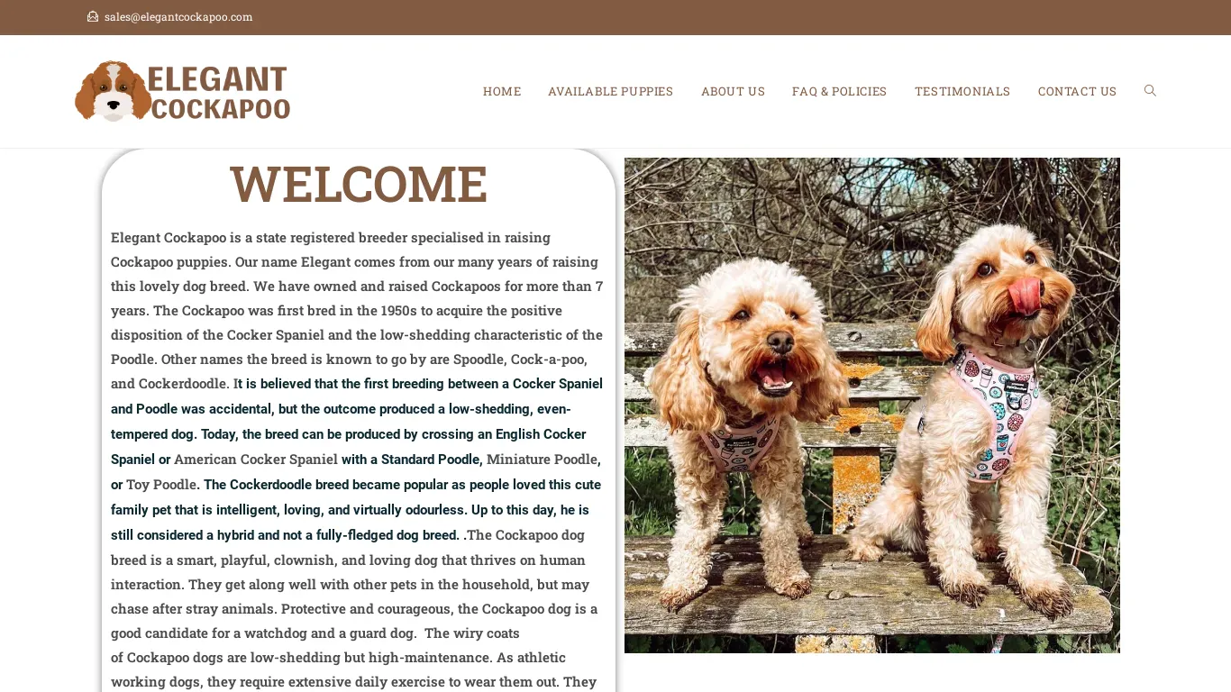 is elegantcockapoo.com legit? screenshot