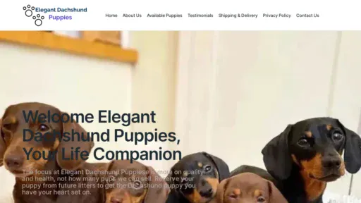 A screenshot of Elegantdachshundpups.com