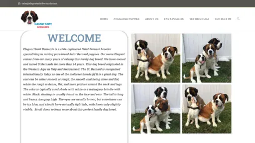 A screenshot of Elegantsaintbernards.com