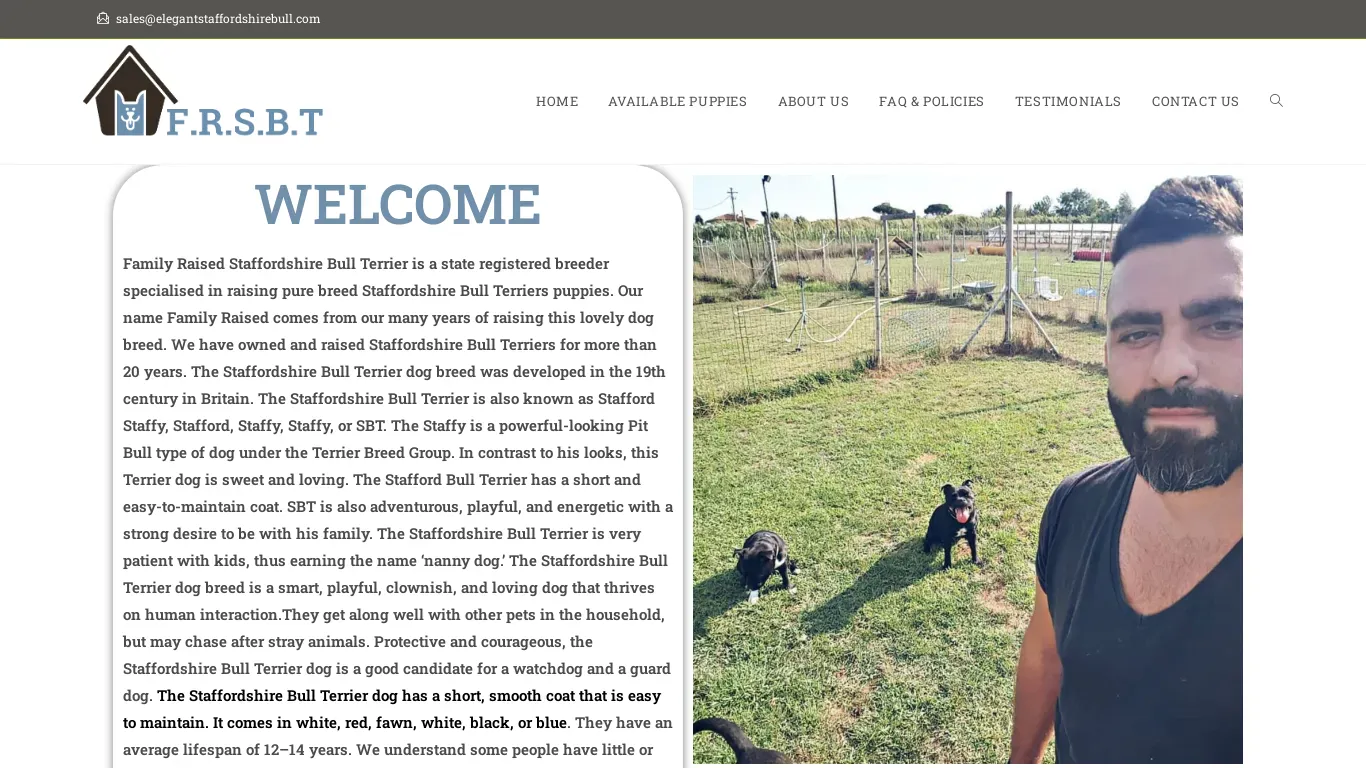 is elegantstaffordshirebull.com legit? screenshot