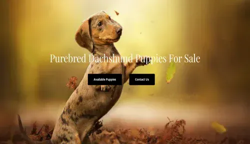 A screenshot of Genlanfamilystbernard.com