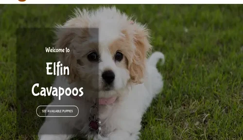 A screenshot of Genlanfamilystbernard.com
