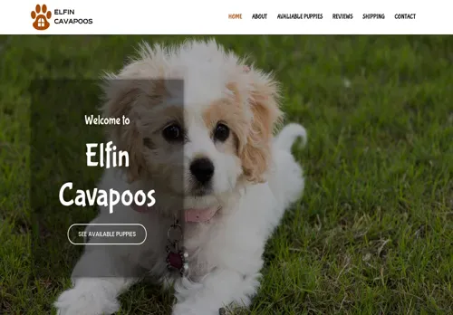is elfincavapoos.com legit? screenshot