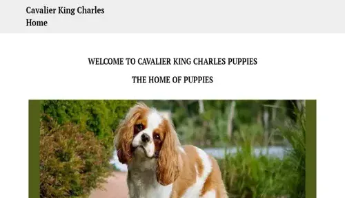 A screenshot of Genlanfamilystbernard.com