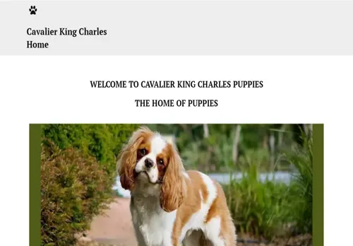 is elitecavalierspaniel.com legit? screenshot