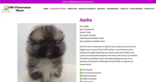 A screenshot of Genlanfamilystbernard.com