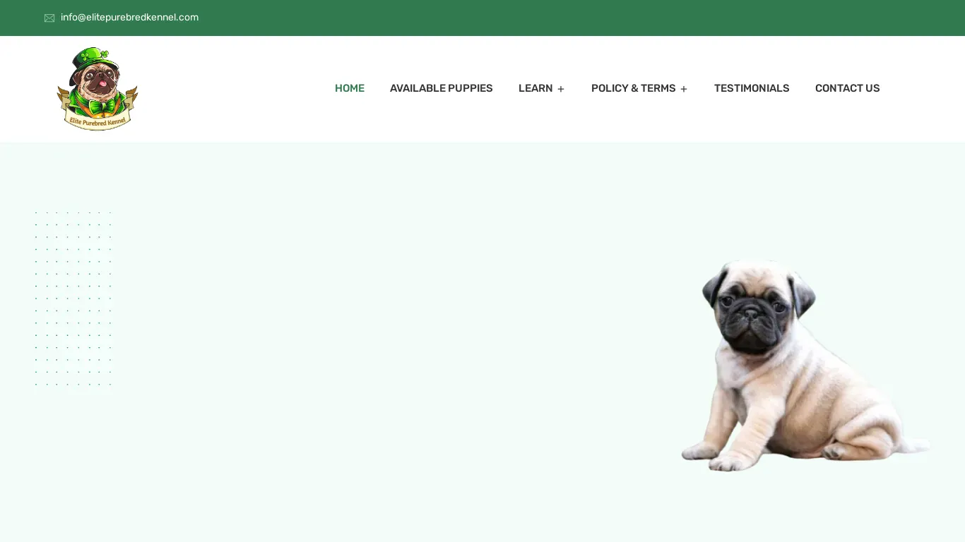 is elitepurebredkennel.com legit? screenshot