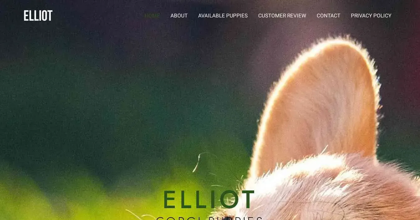 is elliotscorgipuppiesspot.com legit? screenshot