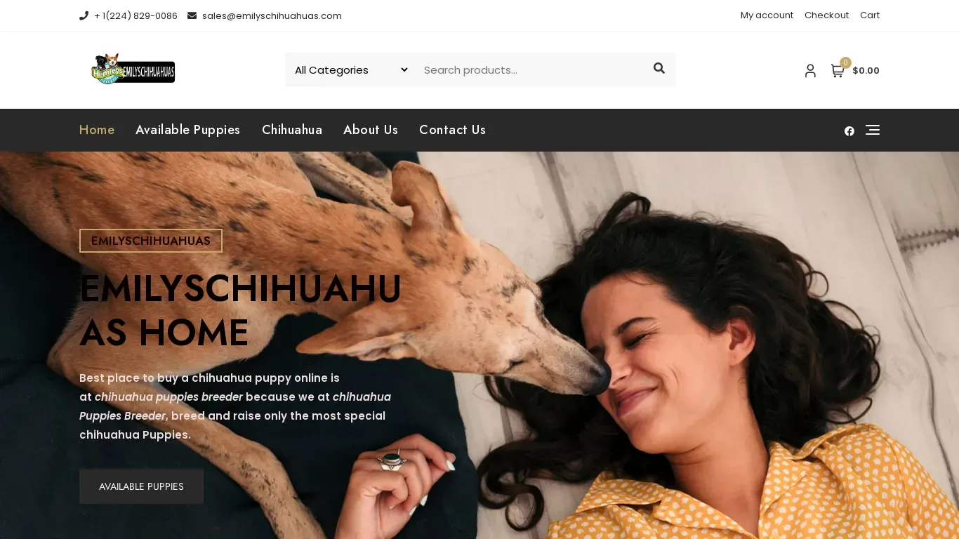 is emilyschihuahuas.com legit? screenshot