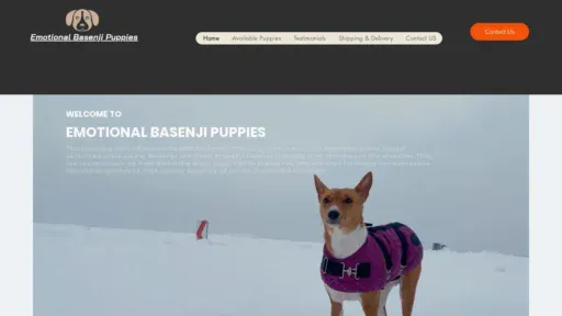 A screenshot of Emotionalbasenjipuppies.com