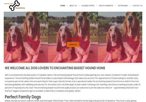 is enchantingbassethoundhome.com legit? screenshot