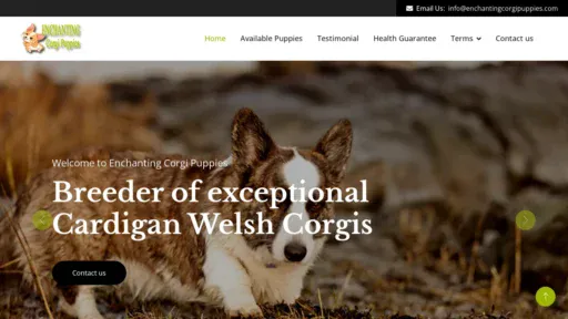 A screenshot of Enchantingcorgipuppies.com
