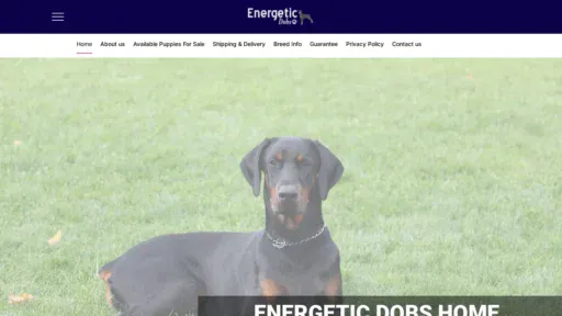 A screenshot of Energeticdobs.com