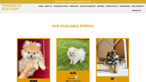 A screenshot of Energeticpomeranianpuppies.com