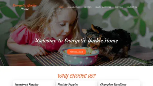A screenshot of Energeticyorkiehome.com