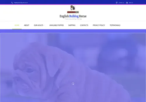 is englishbulldog-rescue.com legit? screenshot