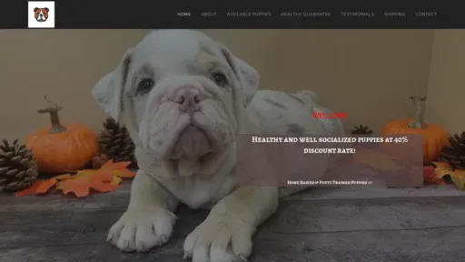 A screenshot of Englishbulldogpuppiesforadoption.com