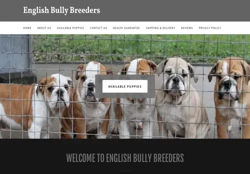 is englishbullybreeders.com legit? screenshot