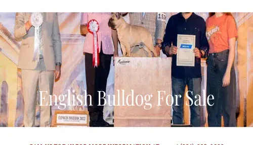 A screenshot of Genlanfamilystbernard.com
