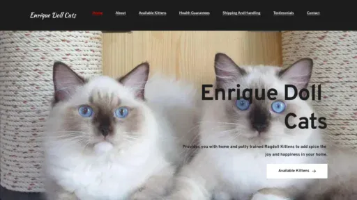 A screenshot of Enriquedollkitty.com