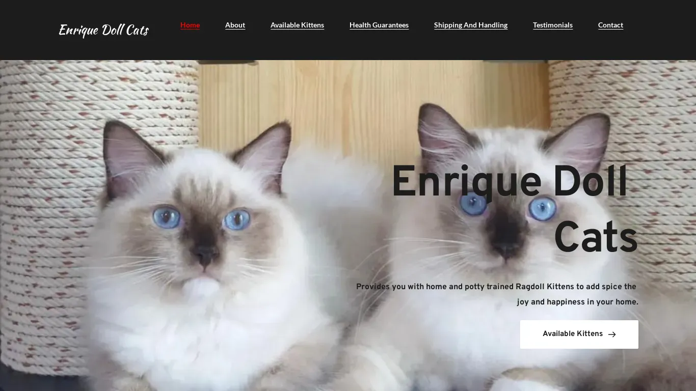is enriquedollkitty.com legit? screenshot