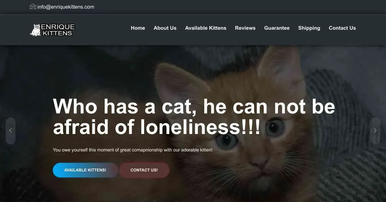 is enriquekittens.com legit? screenshot