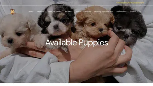 A screenshot of Epiphanymorkiepuppies.com