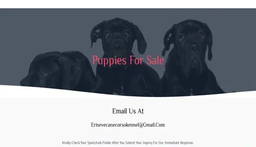 A screenshot of Genlanfamilystbernard.com