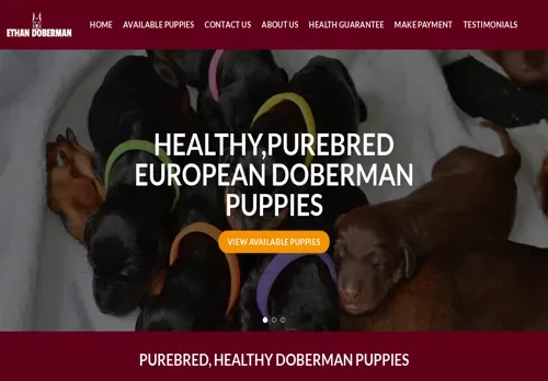 is ethandoberman.com legit? screenshot