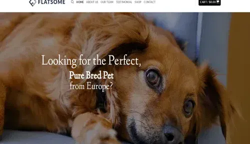 A screenshot of Genlanfamilystbernard.com