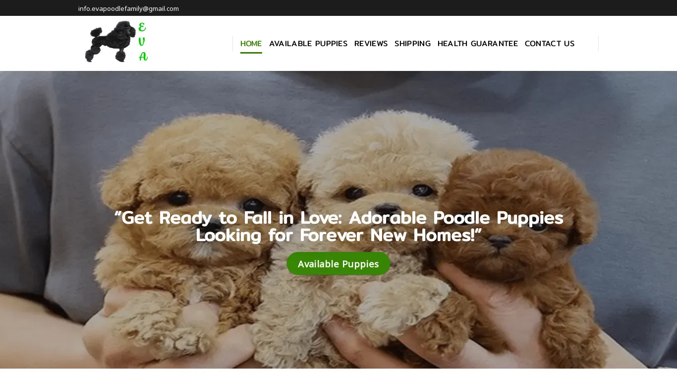 is evapoodlefamily.com legit? screenshot