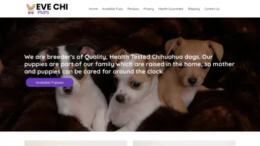 A screenshot of Evechipups.com