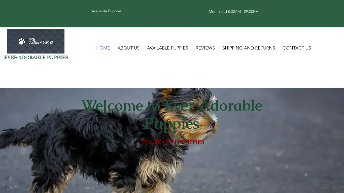 is everadorablepuppies.com legit? screenshot