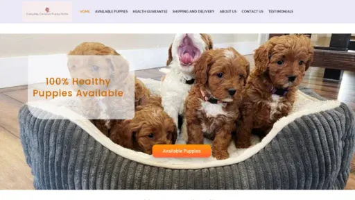 A screenshot of Everydaycavapoo.com