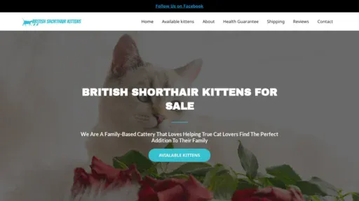 A screenshot of Excitedcatsandkittens.com