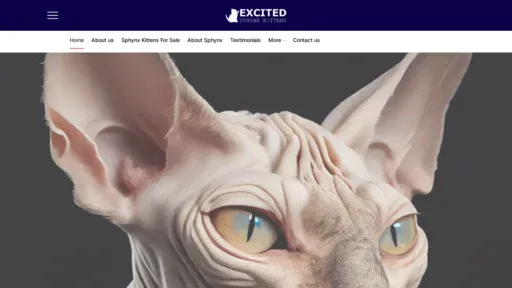 A screenshot of Excitedsphynxkittens.com