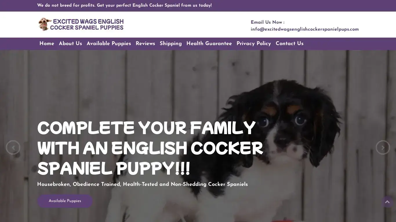 is Home | English Cocker Spaniel Puppies For Sale | excitedwagsenglishcockerspanielpups.com legit? screenshot